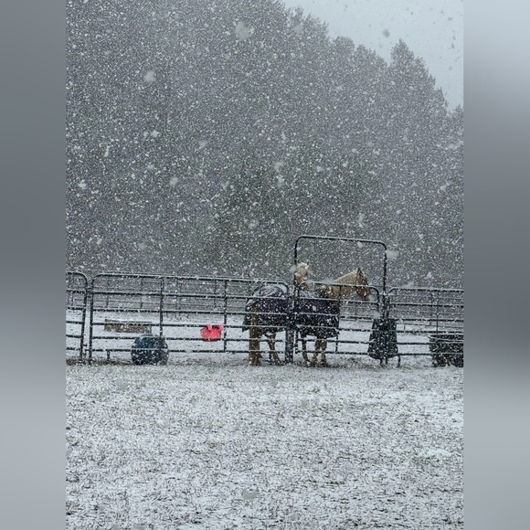 LIVE Thursday 8am est Rolling Into The Holidays Share Show - Picture 6 of 8